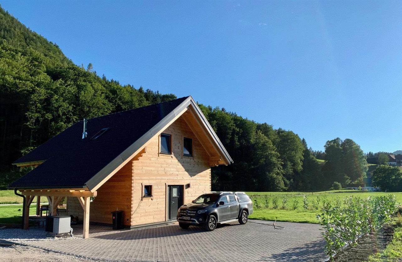 Das Gruenhaus - Dein Chalet In Gruenau Im Almtal Exterior photo