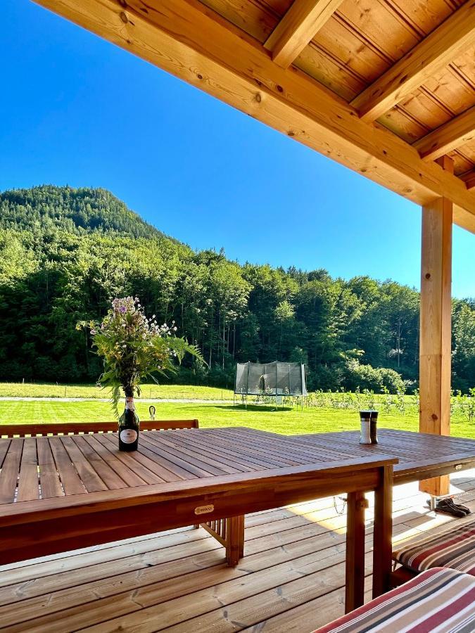Das Gruenhaus - Dein Chalet In Gruenau Im Almtal Exterior photo